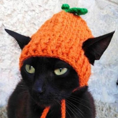 Avatar for Zestryon 🐈‍⬛