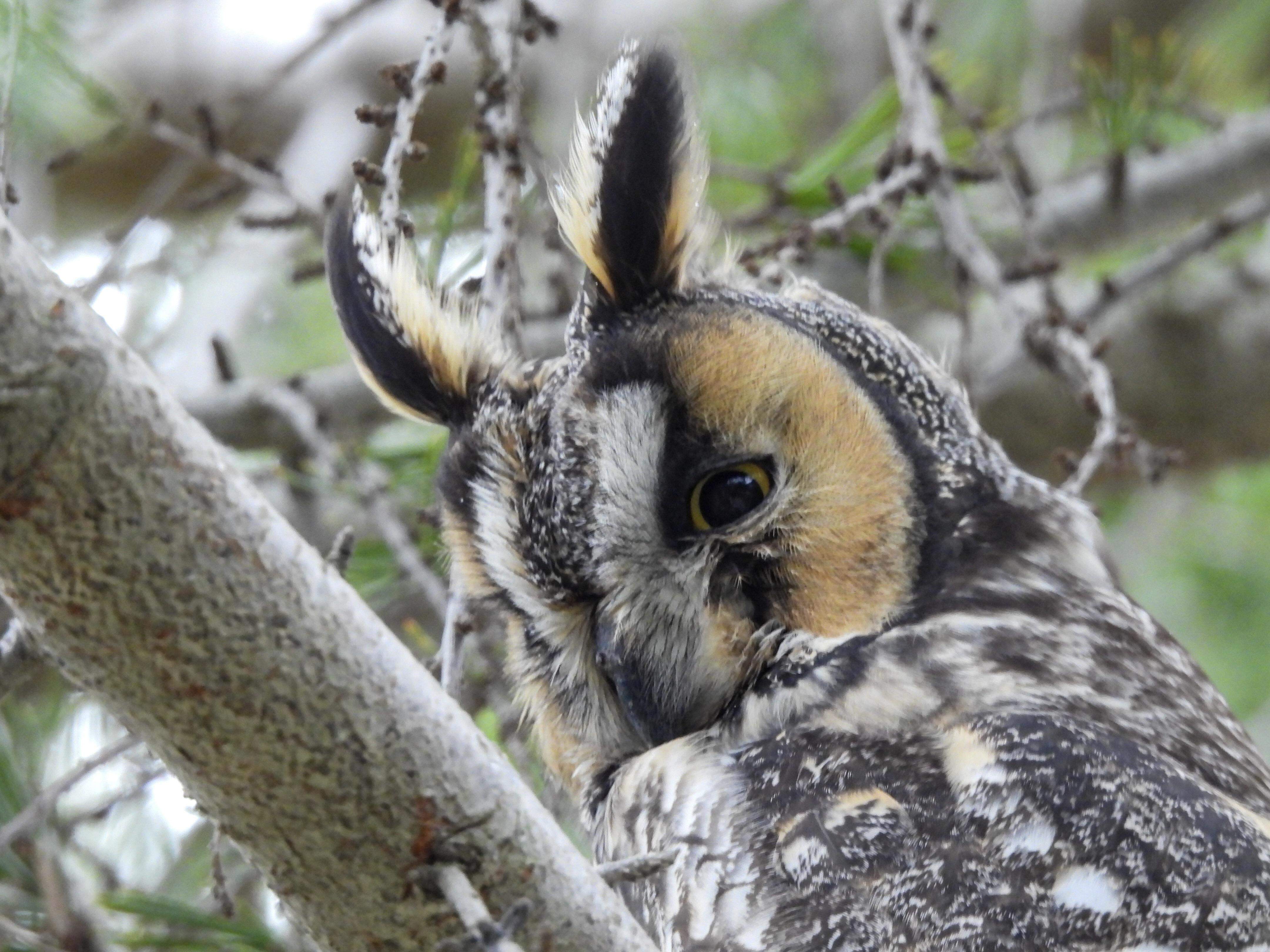 Avatar for pseudo@jlai.lu