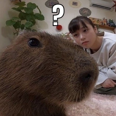 Avatar for EdenDestroyer