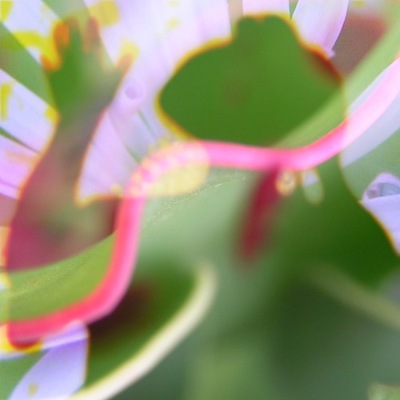 Avatar for dbat :godot: