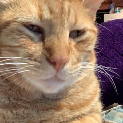 Avatar for justmichelle