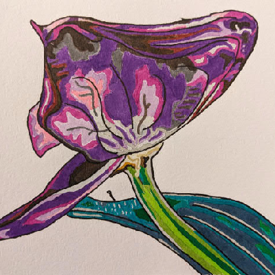 Avatar for Hazel-Quercus 🟡⚪🟣⚫