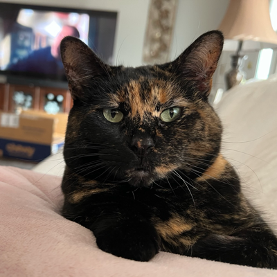 Avatar for BakersRelay