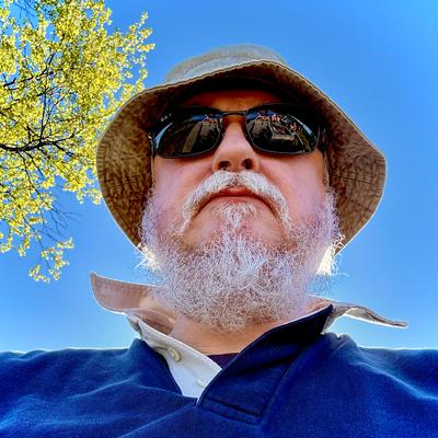 Avatar for Simon Roy Hughes 🧌 ⬋⬋⬋
