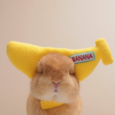 Avatar for nuomiball