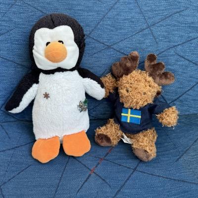Avatar for Pingu Paul 🐧