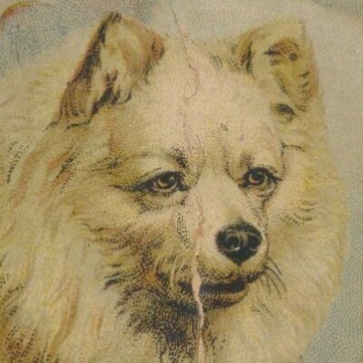 Avatar for David Reamer