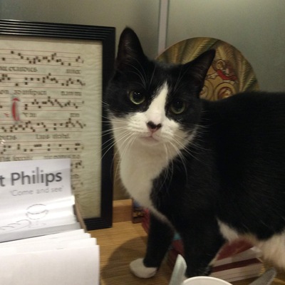 Avatar for SPECR_cat