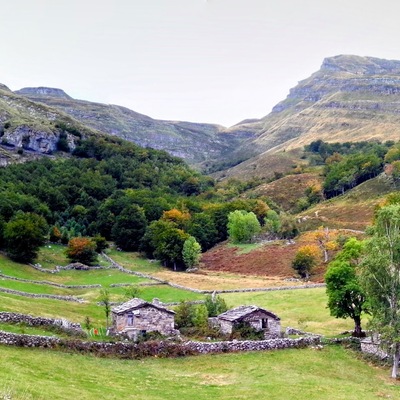 Avatar for wazakovsky