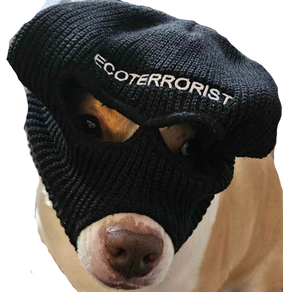 Avatar for happybadger [he/him]