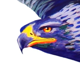 Avatar for Marek S. Ł.