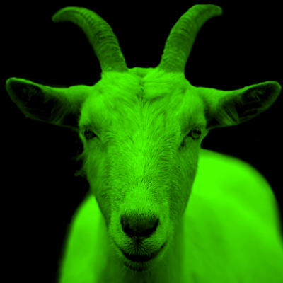 Avatar for CryptGoat