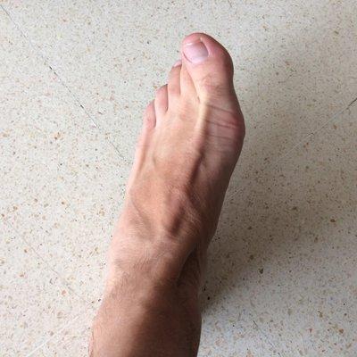 Avatar for Locuras Lógicas🇵🇸