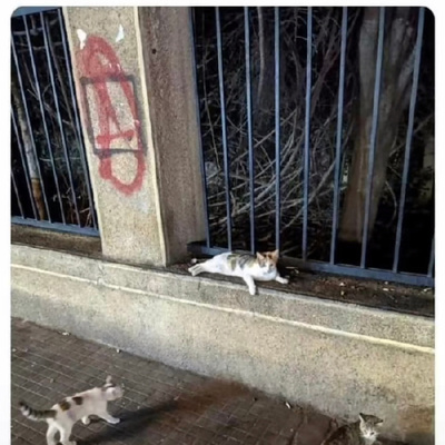 Avatar for L'eternità