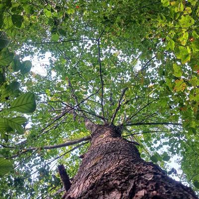 Avatar for Art & Nature