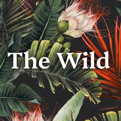 Avatar for The Wild
