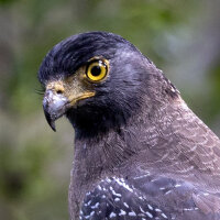 Avatar for Katherine