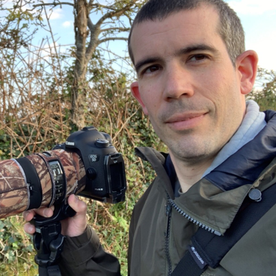 Avatar for Ian Lewis Photography