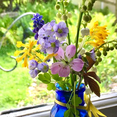 Avatar for Icarosity