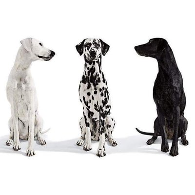 Avatar for JBrickelt963 ✊(φ)🚩