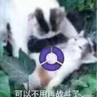 Avatar for 是罂粟，我加了罂粟