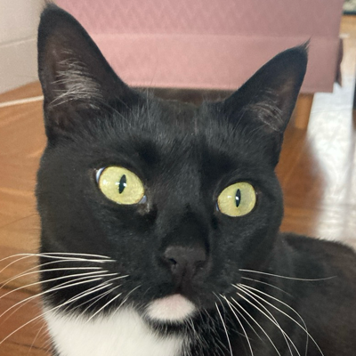 Avatar for Voting is Your POWER