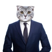 Avatar for 𝐉𝐨𝐧 𝐁𝐞𝐫𝐠𝐞𝐫