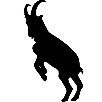 Avatar for Modern Homo erectus