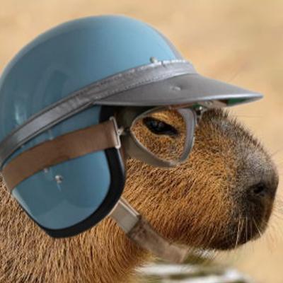 Avatar for Torrone 🥔 🍄