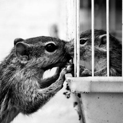 Avatar for ochodoscuatro ediciones