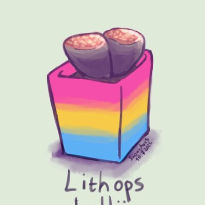 Avatar for Andrew 🏳️‍🌈 🖥 🧦