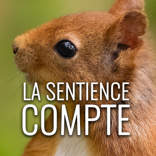 Avatar for J'emballe trèfle