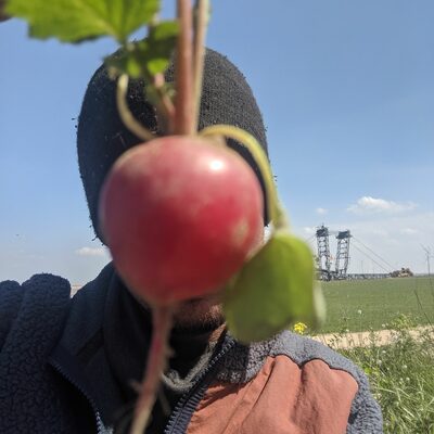 Avatar for Radieschen