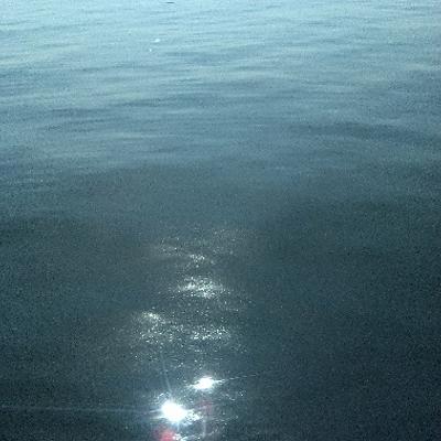 Avatar for Deb Nam-Krane