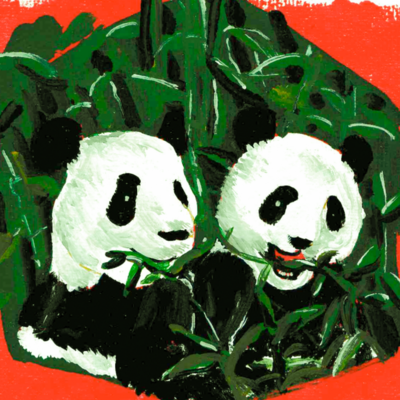 Avatar for p2panda