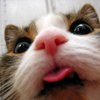 Avatar for ipsquiggle