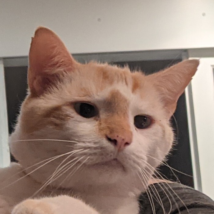 Avatar for mat@linux.community