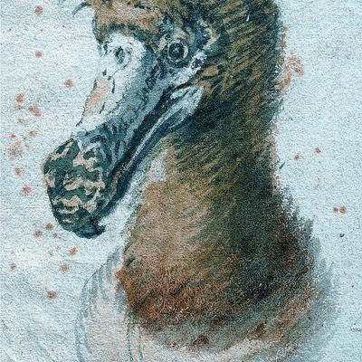 Avatar for Meyltje ∞ 🍋 🏳️‍🌈