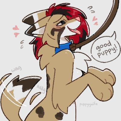 Avatar for Cato... puppy??