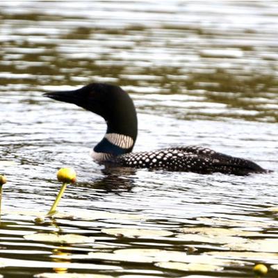 Avatar for Stormy Gleason