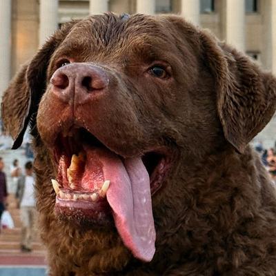 Avatar for Cali's Vassal Duke 4 Denmark