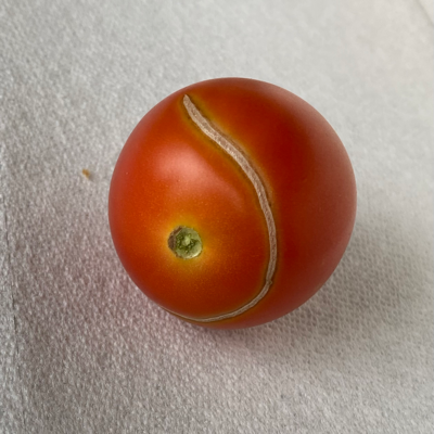 Avatar for The Data Therapist