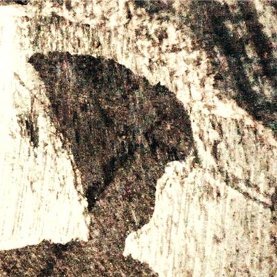 Avatar for einbredbru