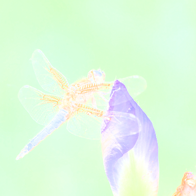 Avatar for Jan Kruse