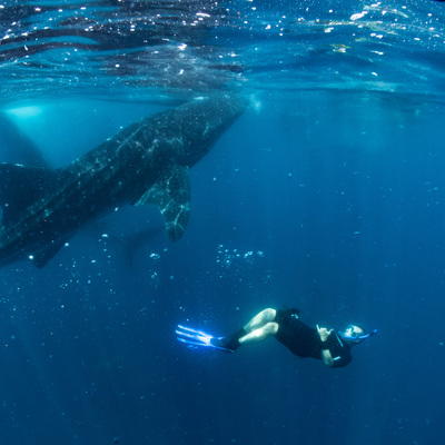 Avatar for briangweberphotography