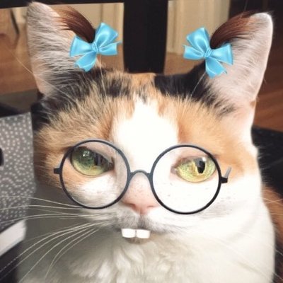 Avatar for Rocketsoup