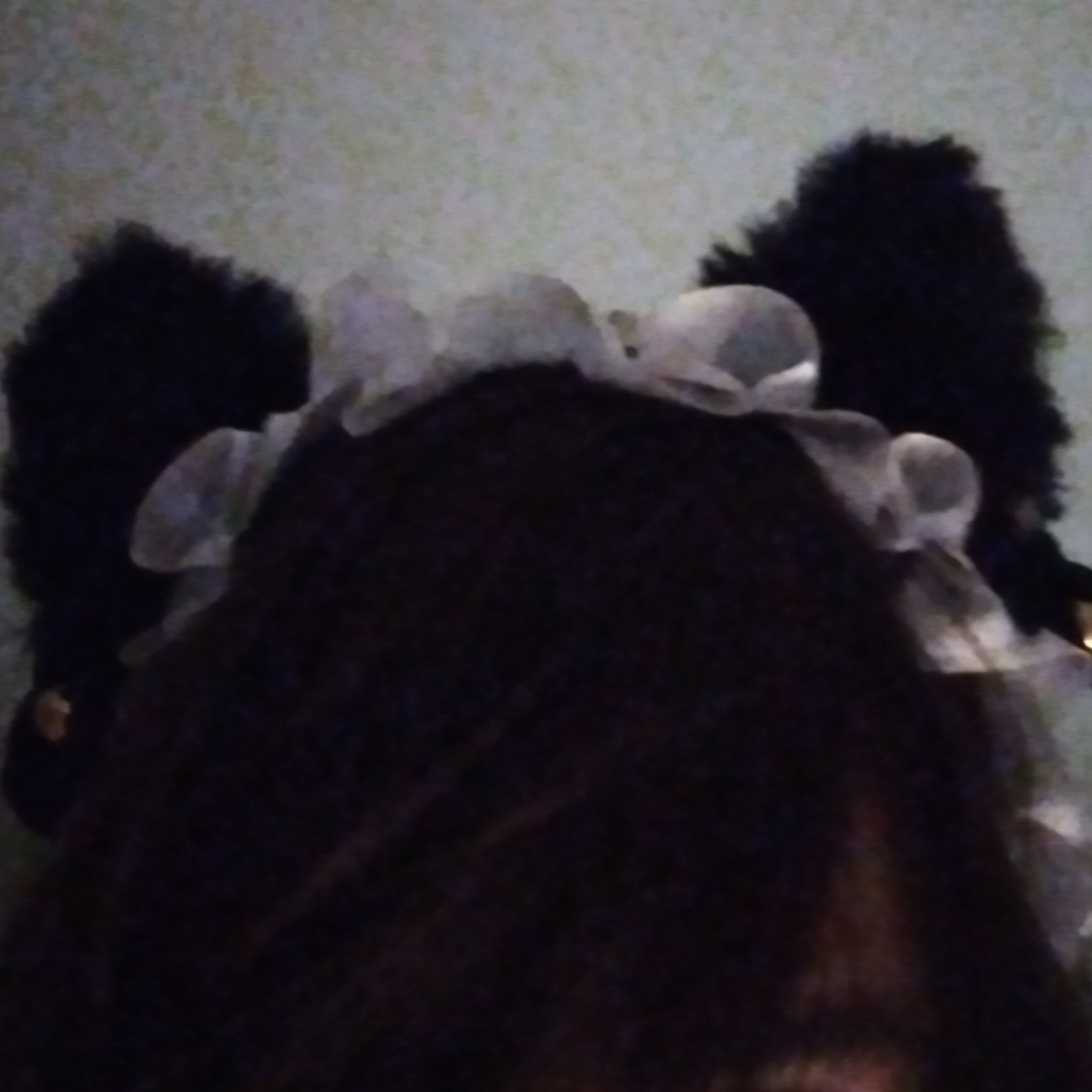 Avatar for femsci :nya: :lixOwOs: