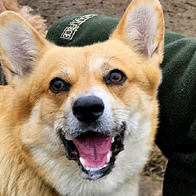 Avatar for Abeloth Penfro KC