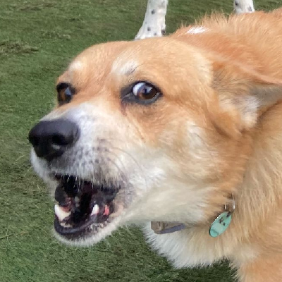 Avatar for Abeloth Penfro KC