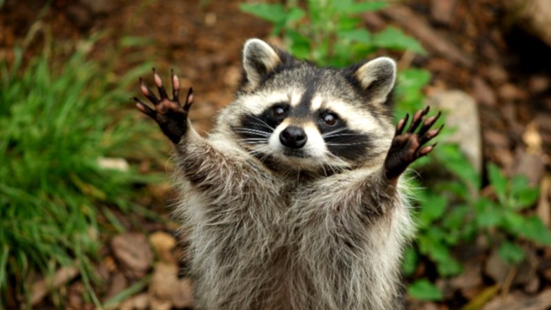 Avatar for Gsus4@mander.xyz